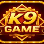 K9 GAME